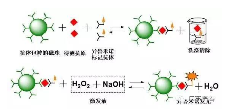 【爱游戏（中国）机械】化学发光免疫分析技术-引领体外诊断行业