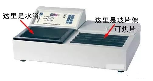 【爱游戏（中国）机械】免疫组化第三步——切片